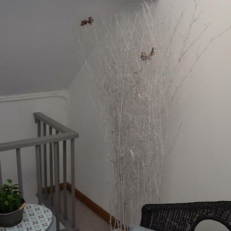 Au Bobeli'Nid - Gite Citadin Au Coeur De Spa Exteriör bild